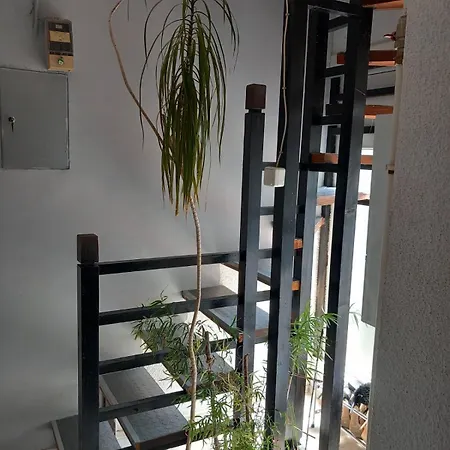 Arca Apartamento *